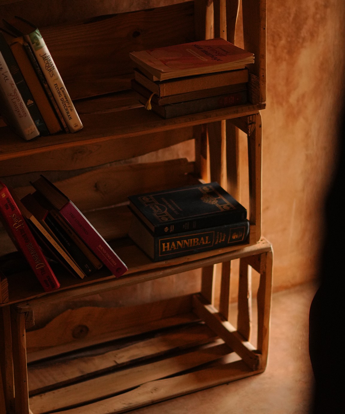 Books on shelving built from wooden crates