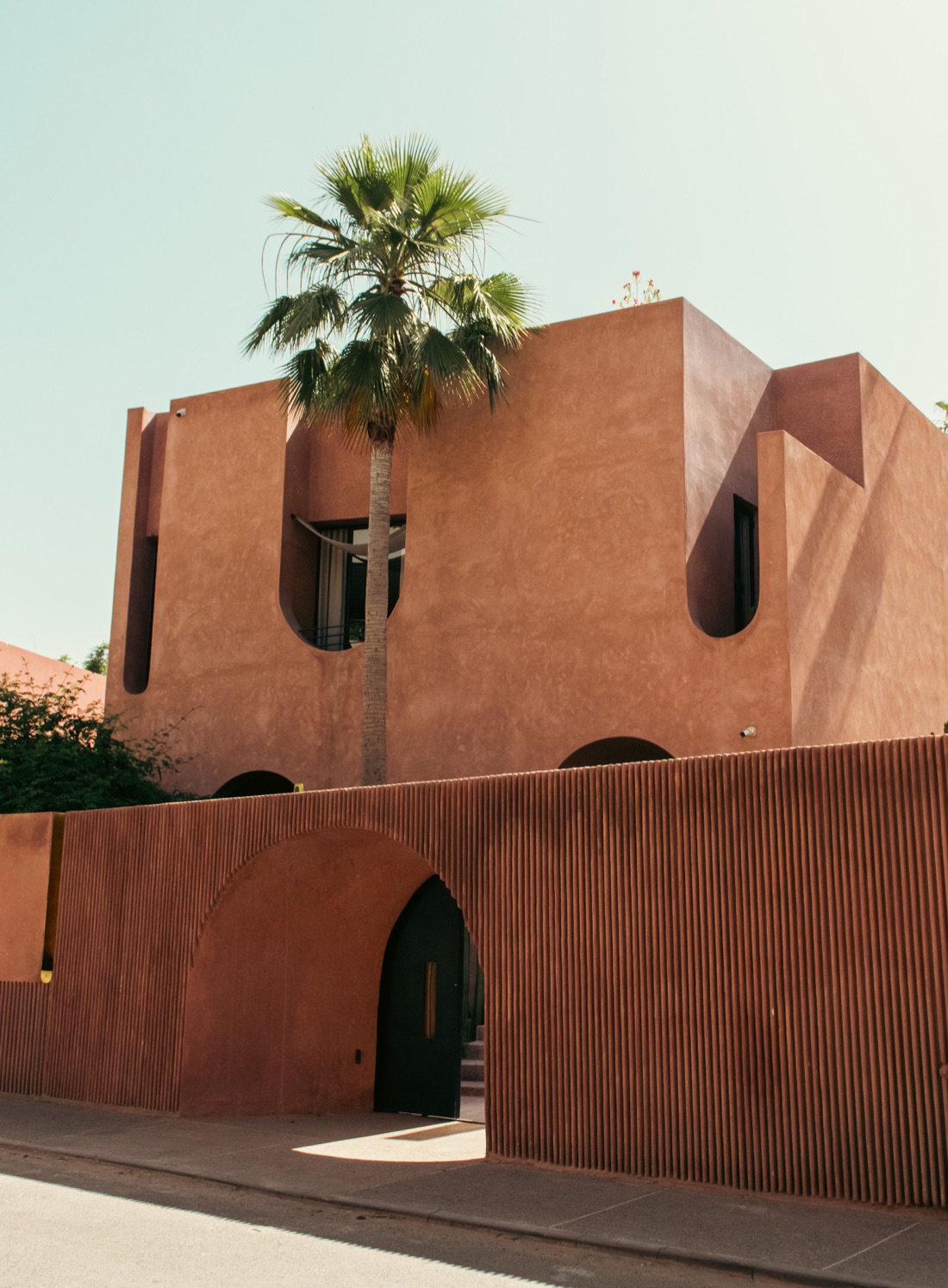 Sculpted terracotta facade with rounded window cut-outs, a palm rising past the ribbed street wall